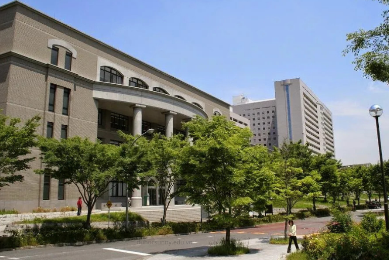 Sự Khác Biệt Giữa Trường Đại Học và Trường Senmon tại Nhật Bản