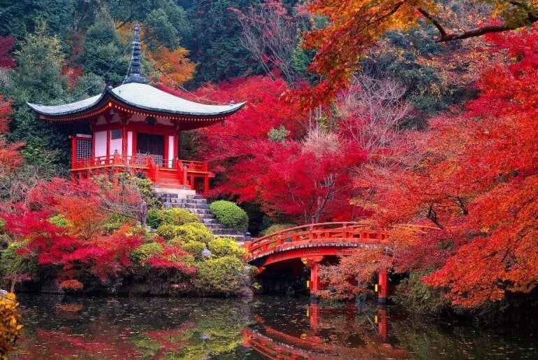 Cách tiết kiệm chi phí khi đi du lịch Nhật Bản