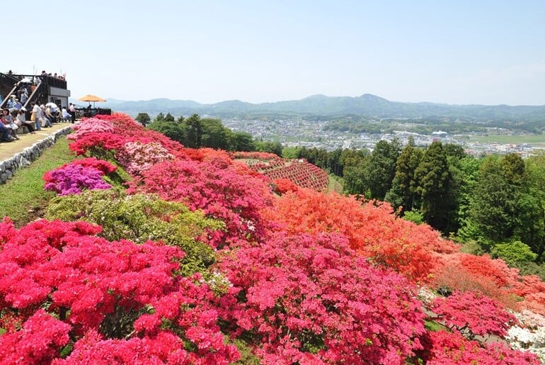 6 phong cảnh tuyệt đẹp lôi cuốn suốt 4 mùa ở Ibaraki!