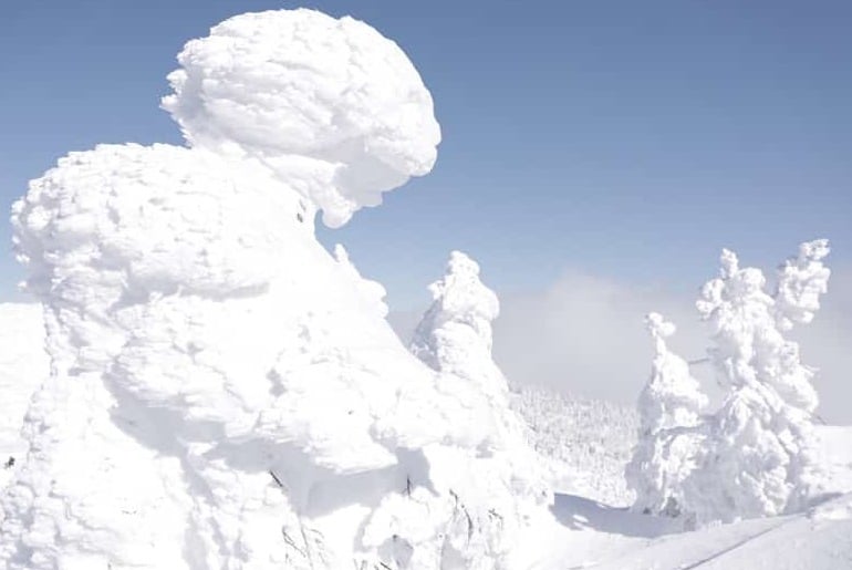 Khu rừng "quái vật tuyết" thu hút du khách tại Nhật Bản